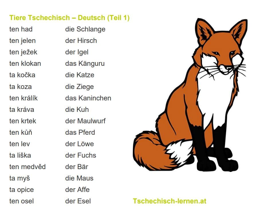 Tiere Tschechisch Deutsch 1