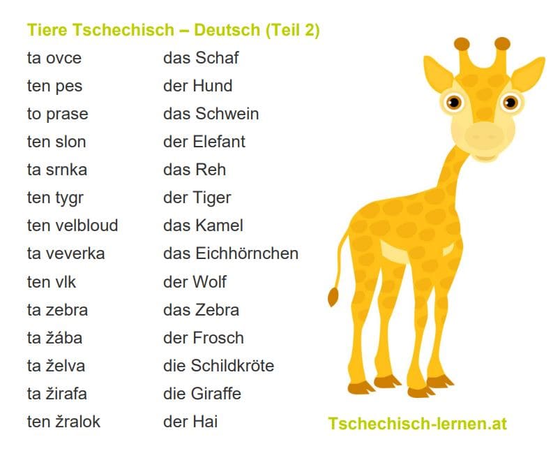 Tiere Tschechisch Deutsch 2