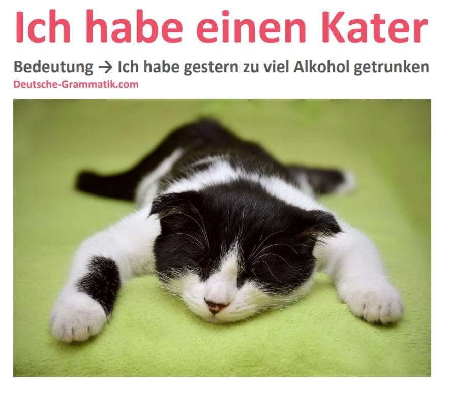 Ich habe einen Kater