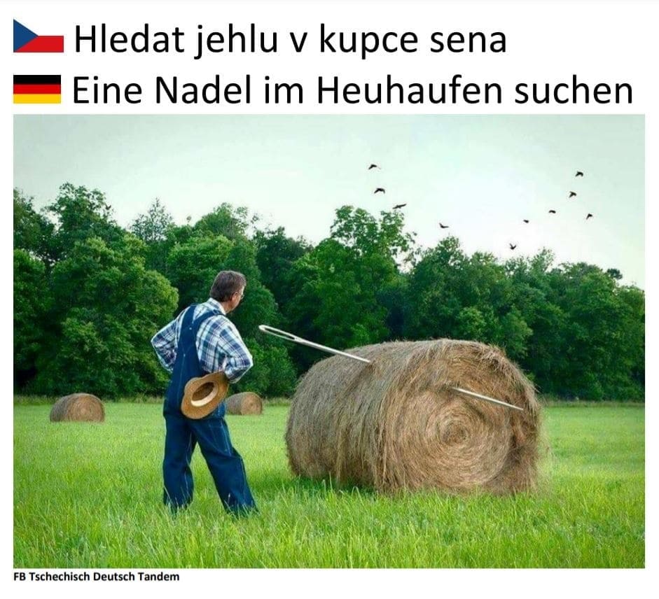 hledat jehlu v kupce sena eine nadel im heuhaufen suchen