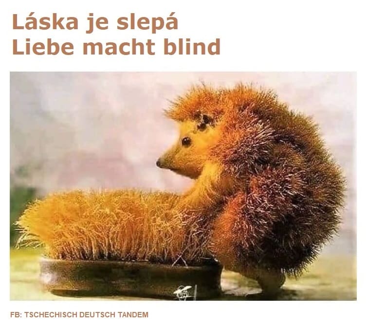 Tschechisches Sprichwort láska je slepá liebe macht blind