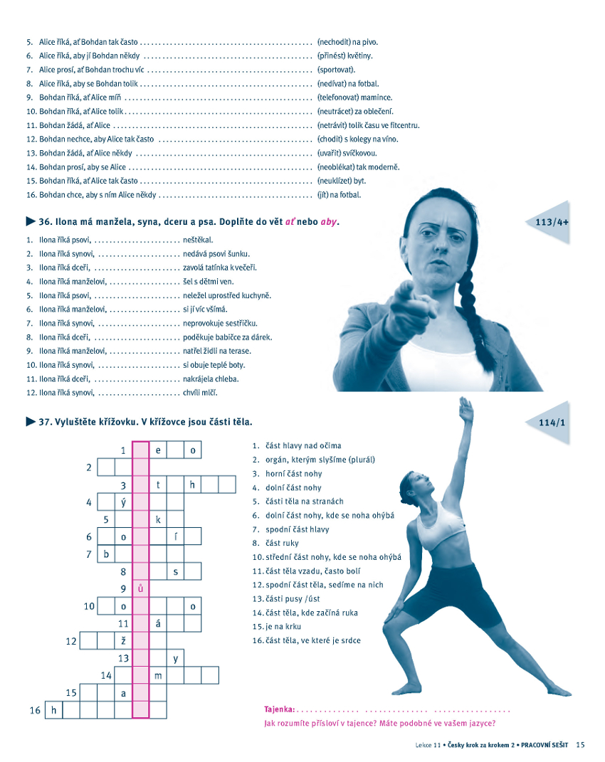 Arbeitsbuch 1 zum Tschechisch Schritt für Schritt 2 / Česky krok za krokem 2 Kreuzworträtsel