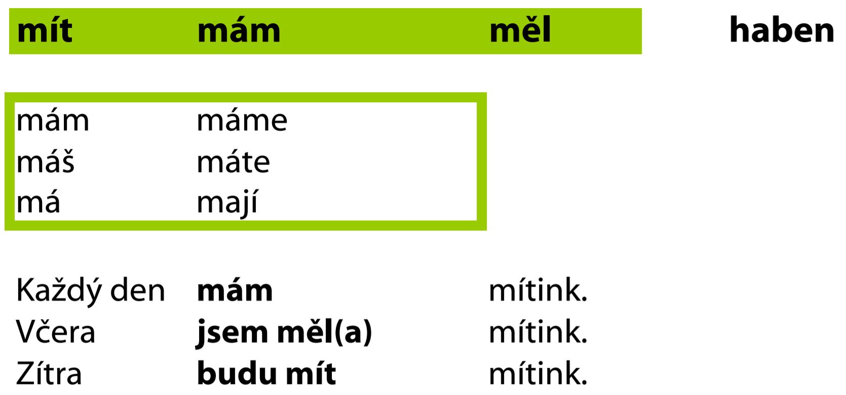 tschechisches verb mít haben