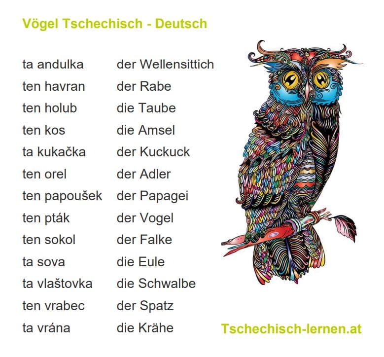 vögel tschechisch deutsch